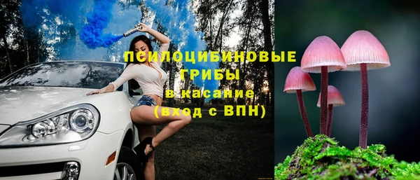 прущая мука Верхний Тагил