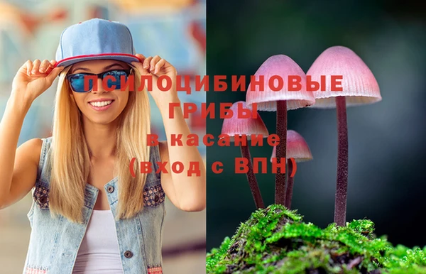 альфа пвп Верхнеуральск