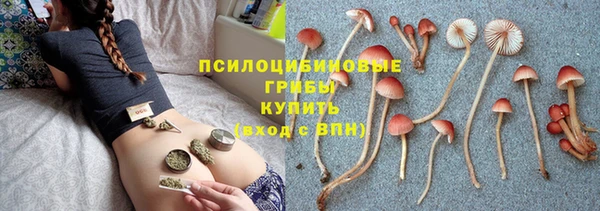 альфа пвп Верхнеуральск