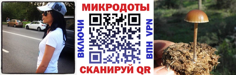 купить закладку  Кировск  Псилоцибиновые грибы GOLDEN TEACHER 
